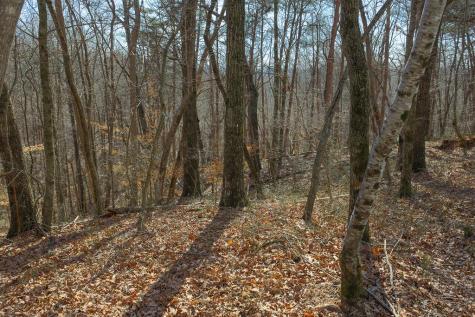 Lot 59 Timberwalk Drive Ellijay GA 30540