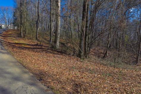 Lot 59 Timberwalk Drive Ellijay GA 30540
