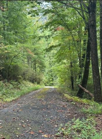 Lot 7 Sequoia Hills Lane Clayton GA 30525