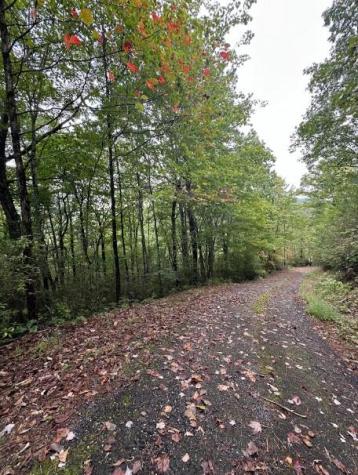 Lot 7 Sequoia Hills Lane Clayton GA 30525