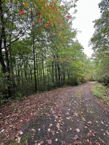 Lot 7 Sequoia Hills Lane Clayton GA 30525