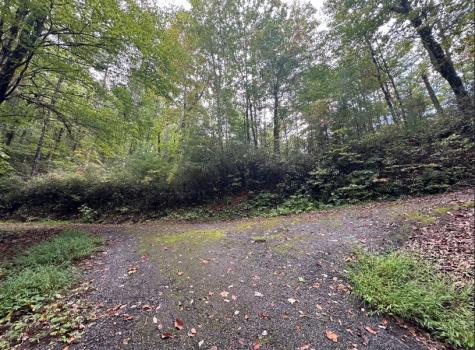 Lot 7 Sequoia Hills Lane Clayton GA 30525