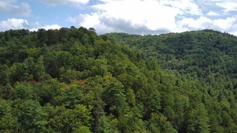 Lot 7 Sequoia Hills Lane Clayton GA 30525