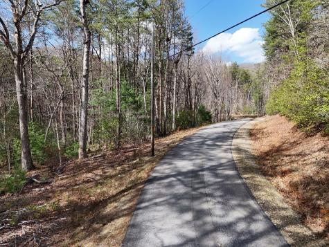 LL321 Turkey Trot Blairsville GA 30512