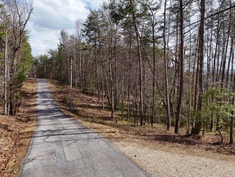 LL321 Turkey Trot Blairsville GA 30512