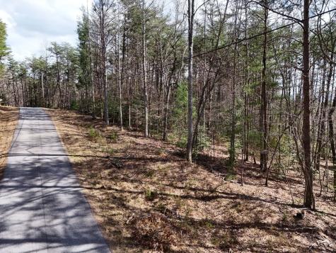 LL321 Turkey Trot Blairsville GA 30512