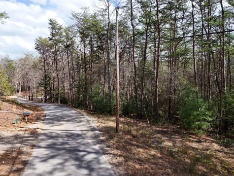 LL321 Turkey Trot Blairsville GA 30512