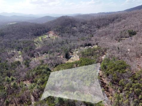 LL321 Turkey Trot Blairsville GA 30512