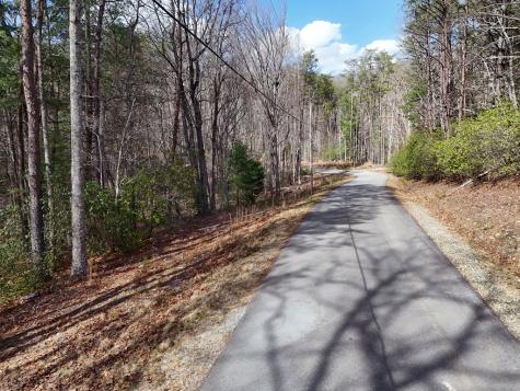 LL321 Turkey Trot Blairsville GA 30512