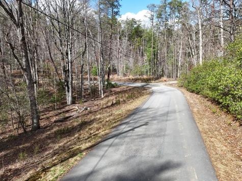 LL321 Turkey Trot Blairsville GA 30512