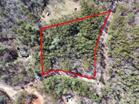 LL321 Turkey Trot Blairsville GA 30512