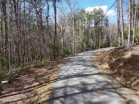 LL321 Turkey Trot Blairsville GA 30512