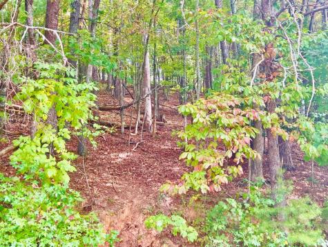 12 Cherokee Drive Ellijay GA 30540