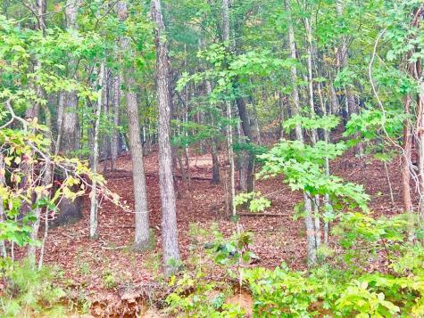 12 Cherokee Drive Ellijay GA 30540