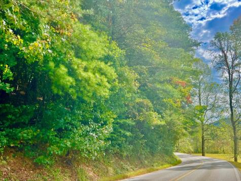 12 Cherokee Drive Ellijay GA 30540