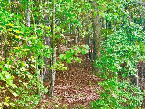 12 Cherokee Drive Ellijay GA 30540