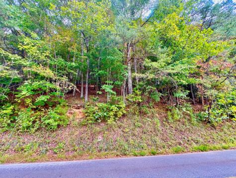 12 Cherokee Drive Ellijay GA 30540