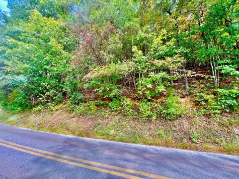 12 Cherokee Drive Ellijay GA 30540