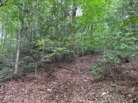 00 Bryant Farm Lane Ellijay GA 30540