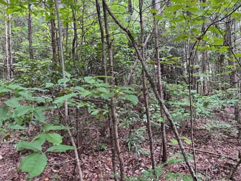 00 Bryant Farm Lane Ellijay GA 30540