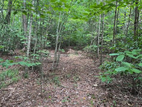 00 Bryant Farm Lane Ellijay GA 30540