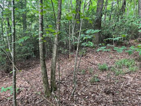 00 Bryant Farm Lane Ellijay GA 30540