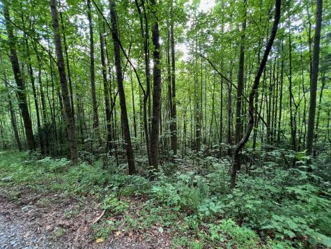 00 Bryant Farm Lane Ellijay GA 30540