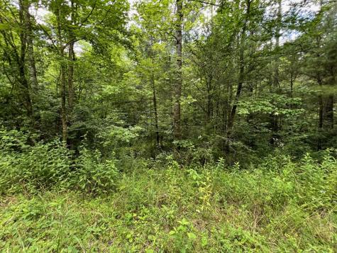 00 Bryant Farm Lane Ellijay GA 30540