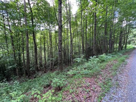 00 Bryant Farm Lane Ellijay GA 30540