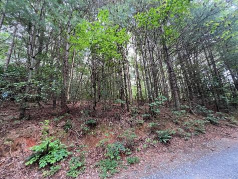 00 Bryant Farm Lane Ellijay GA 30540