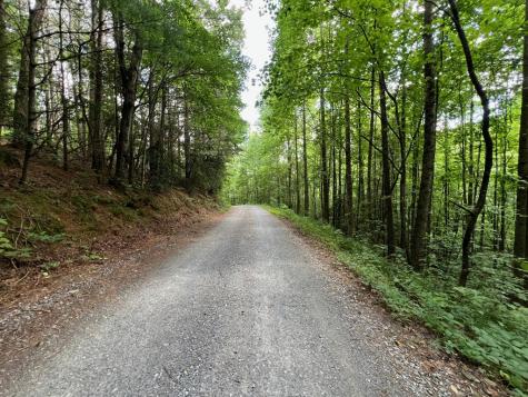 00 Bryant Farm Lane Ellijay GA 30540