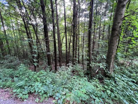 00 Bryant Farm Lane Ellijay GA 30540