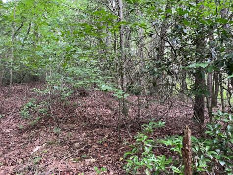 00 Bryant Farm Lane Ellijay GA 30540