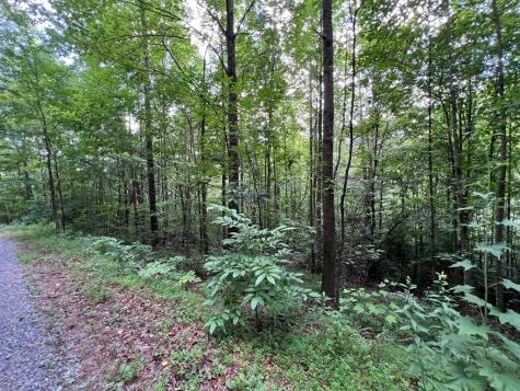 00 Bryant Farm Lane Ellijay GA 30540