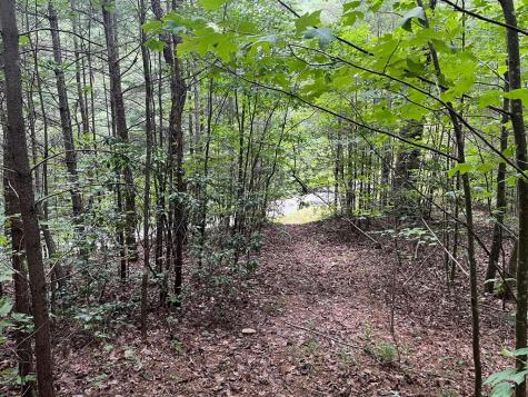 00 Bryant Farm Lane Ellijay GA 30540