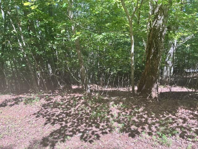 17 E Dogwood Hayesville NC 28904