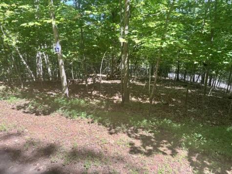 17 E Dogwood Hayesville NC 28904
