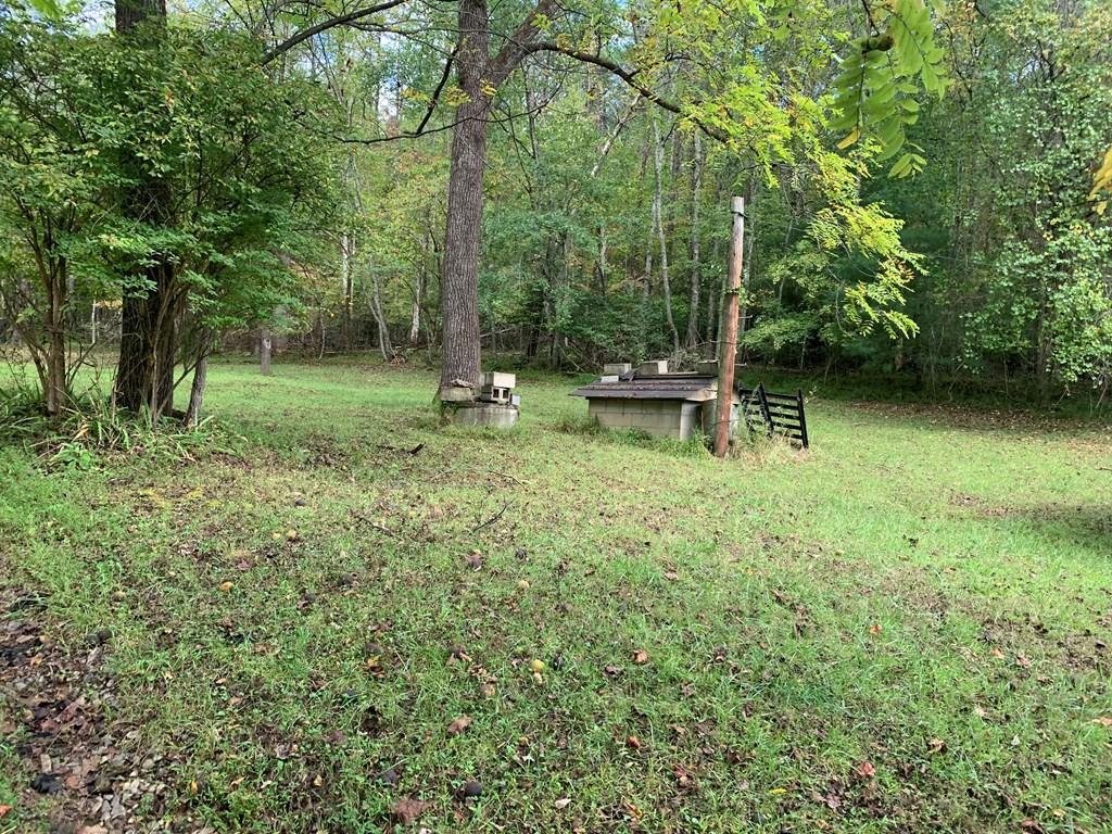 1933 Ford Road Warne NC 28904