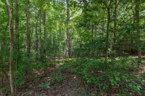 5 Ac Solar Drive Blue Ridge GA 30513