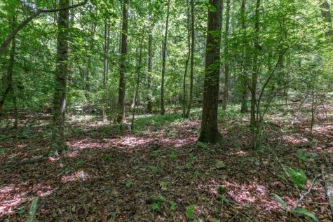 5 Ac Solar Drive Blue Ridge GA 30513