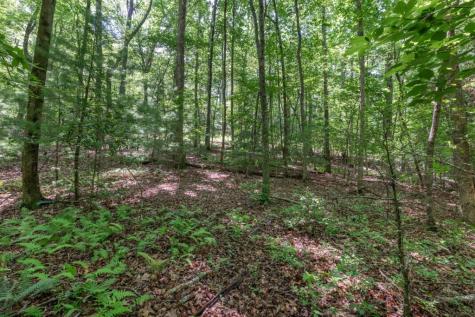 5 Ac Solar Drive Blue Ridge GA 30513
