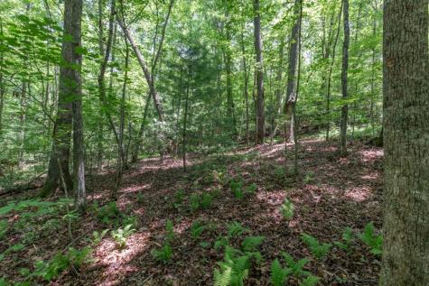5 Ac Solar Drive Blue Ridge GA 30513