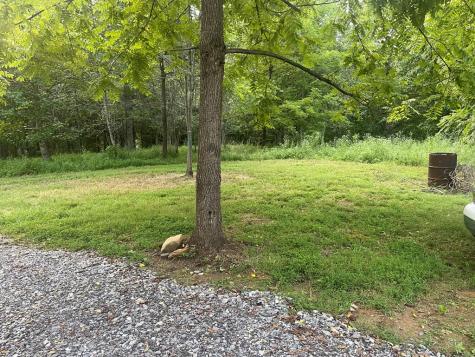 823 Hidden Lake Road Blairsville GA 30512