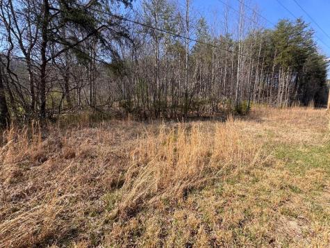 17 Ac Weaver Creek Road Blue Ridge GA 30513