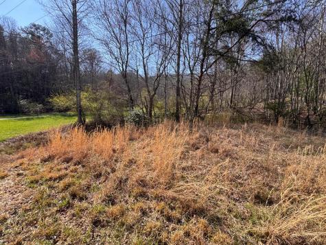 17 Ac Weaver Creek Road Blue Ridge GA 30513