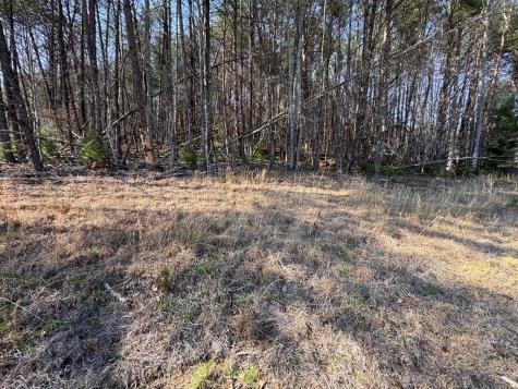 17 Ac Weaver Creek Road Blue Ridge GA 30513