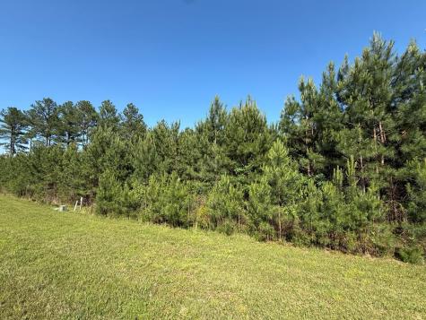 Lot 228 The Cove @ 1300 Blairsville GA 30512