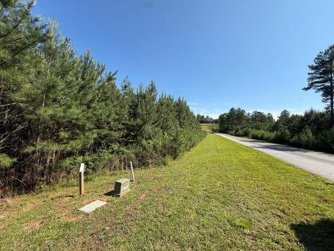 Lot 228 The Cove @ 1300 Blairsville GA 30512