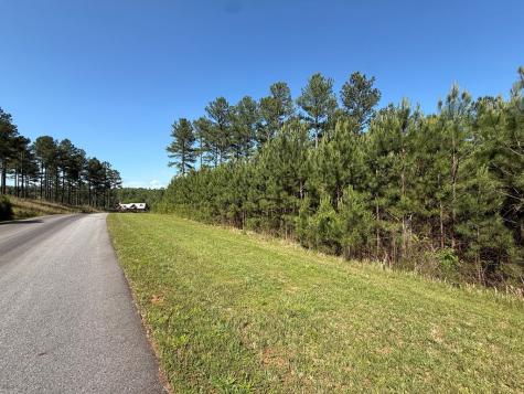 Lot 228 The Cove @ 1300 Blairsville GA 30512