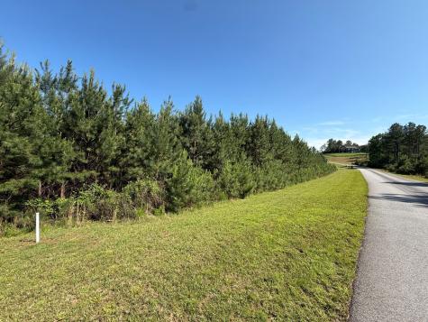 Lot 228 The Cove @ 1300 Blairsville GA 30512